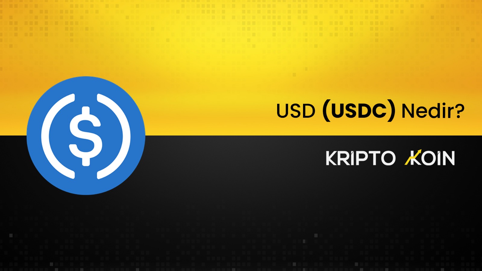 USD Coin Nedir? USDC Coin Ne İşe Fayda?