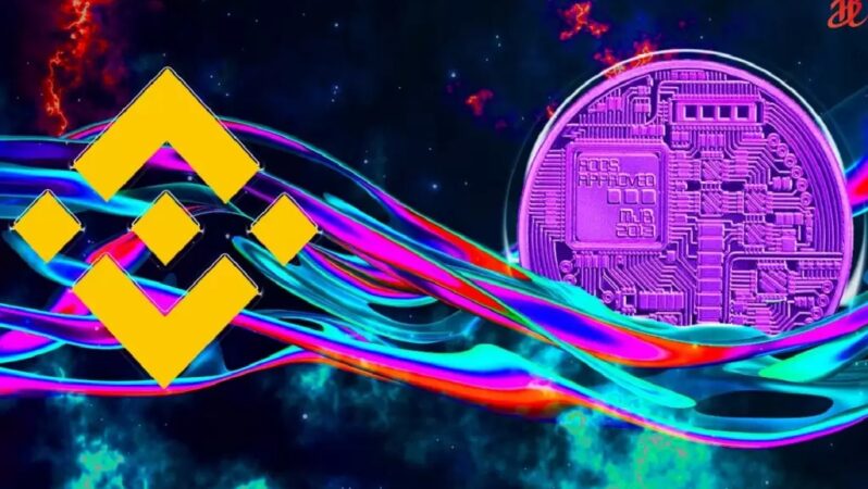 Binance Balinaları, SHIB Değil: Bu Altcoin’in Peşinde!