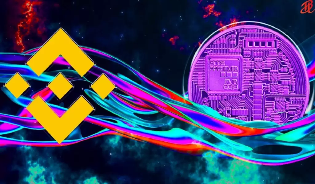 Binance Balinaları, SHIB Değil: Bu Altcoin’in Peşinde!