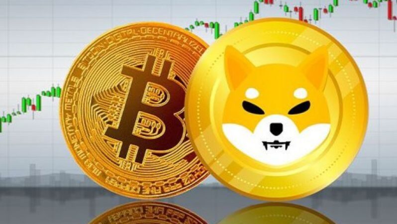 Bitcoin’in Her Adımını Bilen Analistten SHIB ve BTC Tahmini!