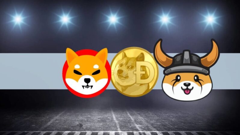 DOGE, SHIB ve FLOKI: Paydaşlık ve Büyük Haberler Geldi!