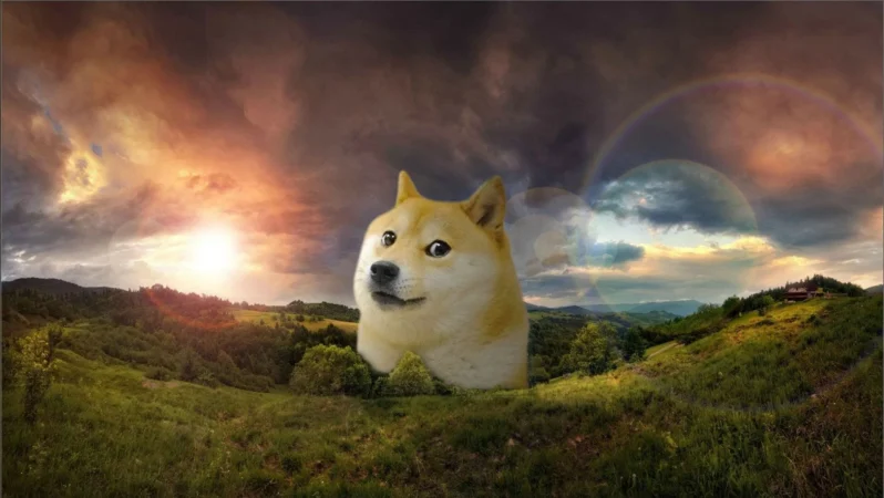 Dogecoin Fiyatını Fırlatan Dogechain Nedir?