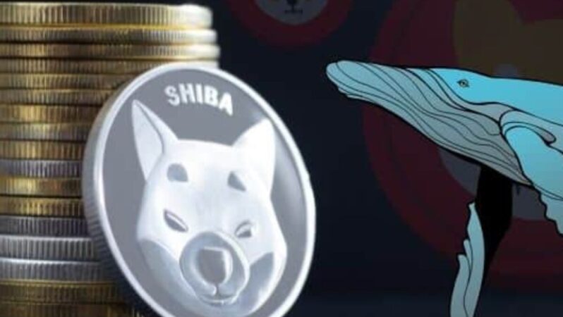 Ethereum Balinaları Neden 37,3 Milyon Dolarlık Shiba Inu Sattı?