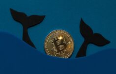 Neler Oluyor? Balinalar Büyük Ölçüde Bitcoin Satıyor!