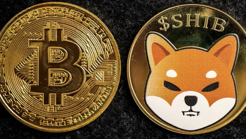 SHIB ve Bitcoin’de Ani Düşüş: Kim Sattı, Kim Yaktı?