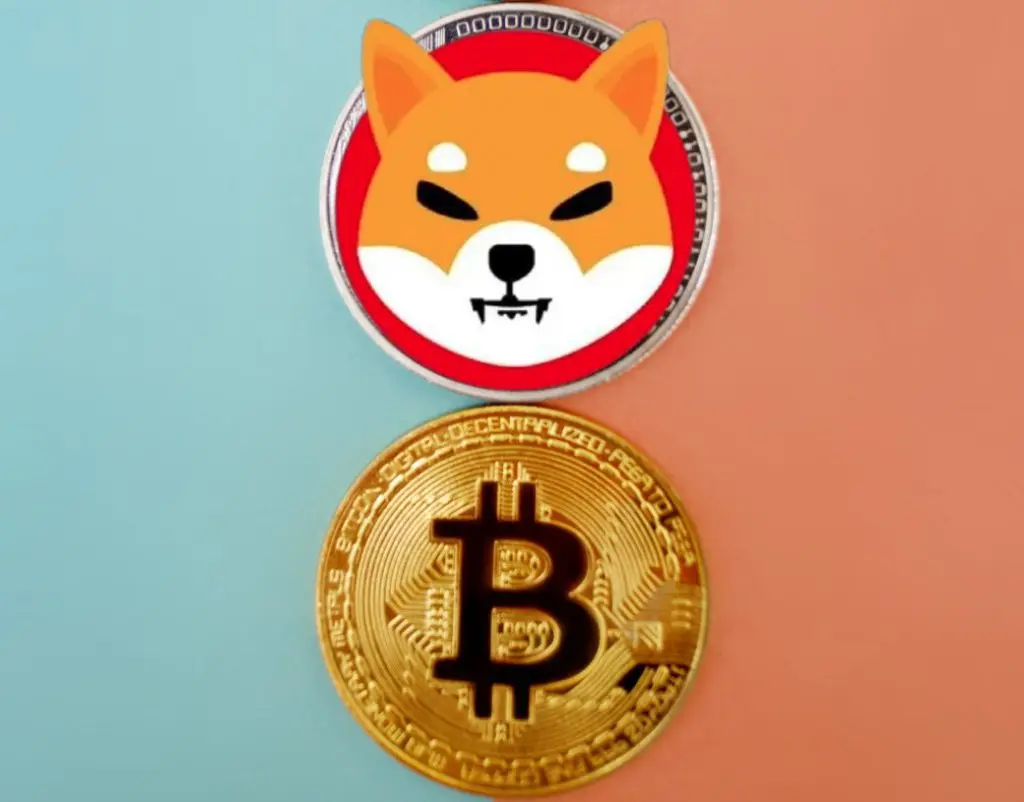 Shiba Inu ve Bitcoin: Haftaya Bu Düzeyler Görülebilir!